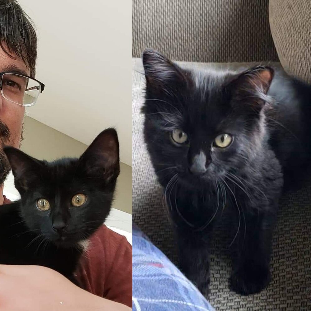 Spencer (left) + Blair (right)